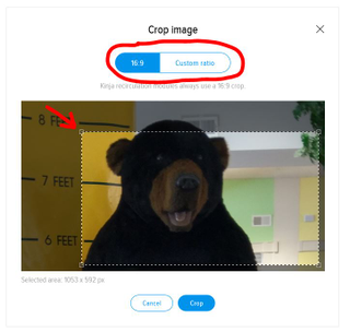 2) Select “16:9" or “Custom ratio” and drag the corners of the cropping tool to select what part of the image to crop - then click “crop”—————— As I said a minute ago, when uploading a portrait photo, this particular part of the menu is pushed off the screen and you can’t get to it. ---- Hopefully they will fix it, but who am I kidding. This feature will probably go away before it’s fixed.